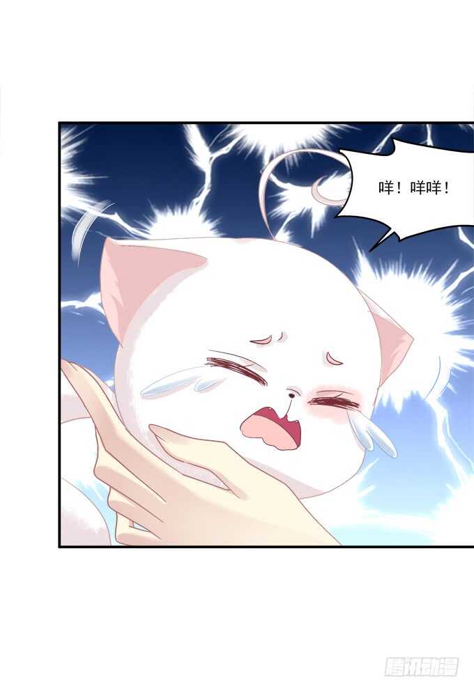 《猫妖的诱惑》漫画最新章节偷腥被抓免费下拉式在线观看章节第【54】张图片