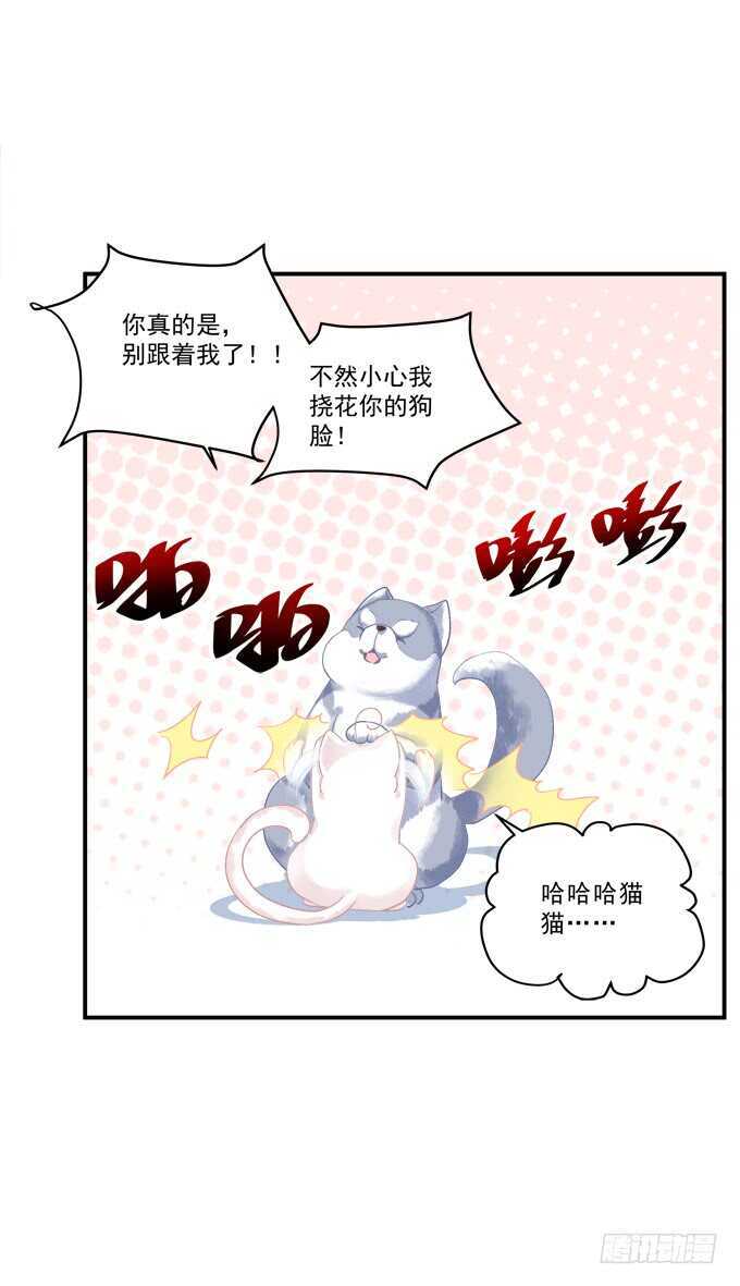 《猫妖的诱惑》漫画最新章节狼二蛋的真身！免费下拉式在线观看章节第【16】张图片