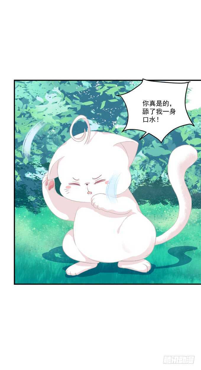 《猫妖的诱惑》漫画最新章节狼二蛋的真身！免费下拉式在线观看章节第【4】张图片