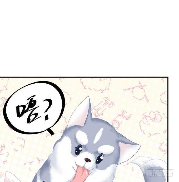 《猫妖的诱惑》漫画最新章节狼二蛋的真身！免费下拉式在线观看章节第【5】张图片