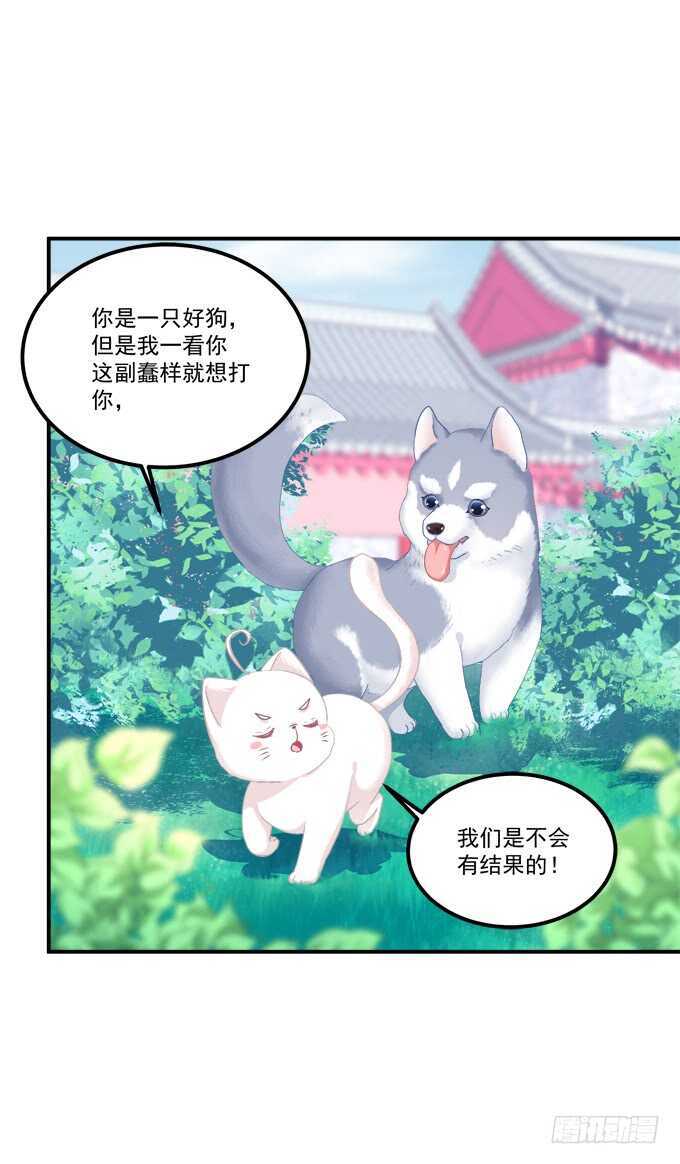 《猫妖的诱惑》漫画最新章节狼二蛋的真身！免费下拉式在线观看章节第【7】张图片