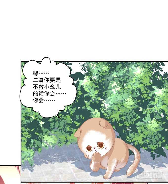 《猫妖的诱惑》漫画最新章节逃跑去见卿哥！免费下拉式在线观看章节第【17】张图片