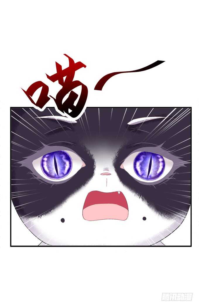 《猫妖的诱惑》漫画最新章节逃跑去见卿哥！免费下拉式在线观看章节第【32】张图片