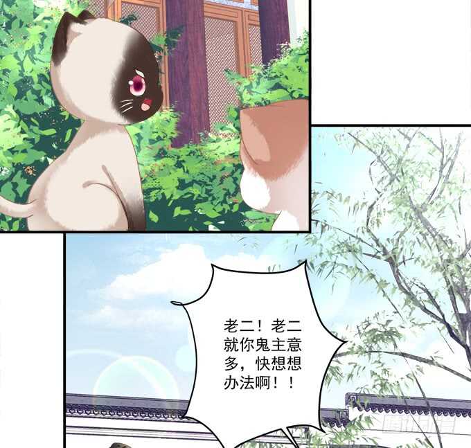 《猫妖的诱惑》漫画最新章节逃跑去见卿哥！免费下拉式在线观看章节第【7】张图片