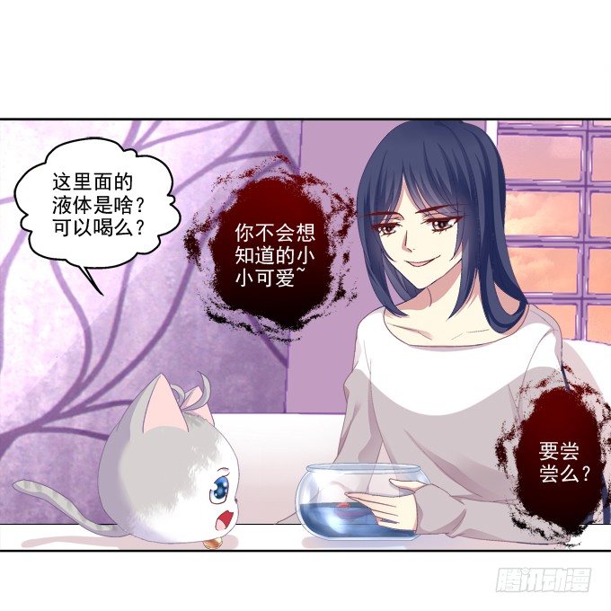 《猫妖的诱惑》漫画最新章节无处可逃免费下拉式在线观看章节第【20】张图片