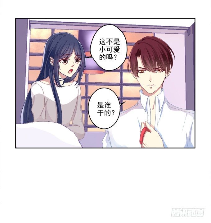 《猫妖的诱惑》漫画最新章节无处可逃免费下拉式在线观看章节第【5】张图片