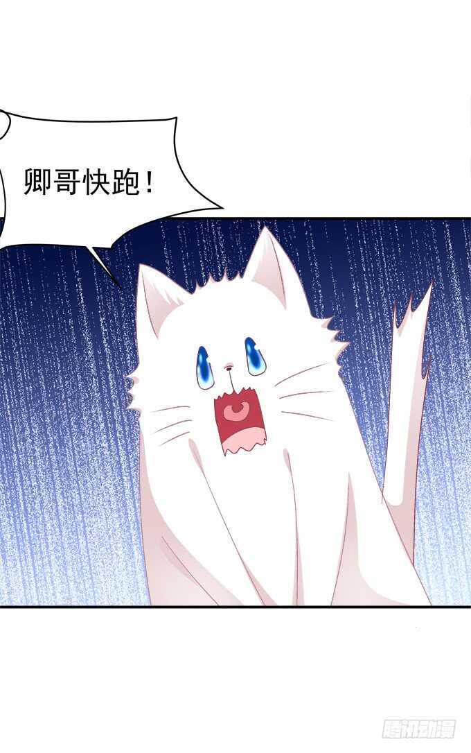 《猫妖的诱惑》漫画最新章节我买我自己的本子！免费下拉式在线观看章节第【55】张图片