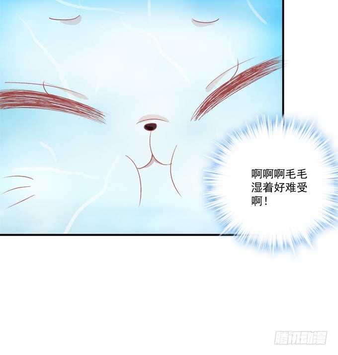 《猫妖的诱惑》漫画最新章节一起洗澡.jpg免费下拉式在线观看章节第【41】张图片