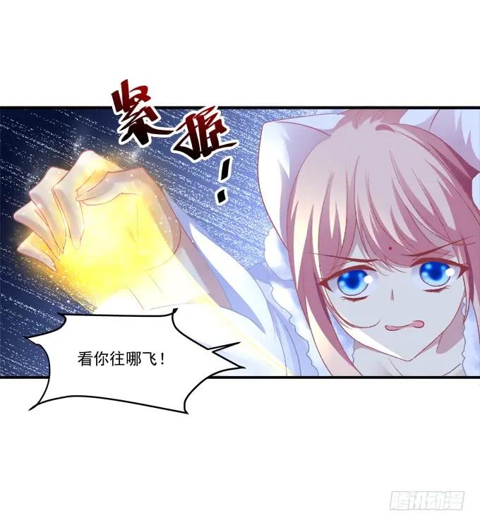 《猫妖的诱惑》漫画最新章节谁让你舔我的！免费下拉式在线观看章节第【51】张图片