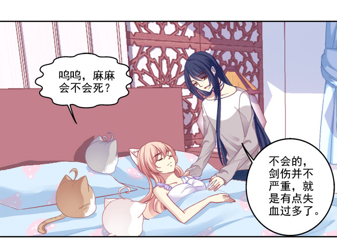 《猫妖的诱惑》漫画最新章节看爸妈生小毛球！免费下拉式在线观看章节第【12】张图片