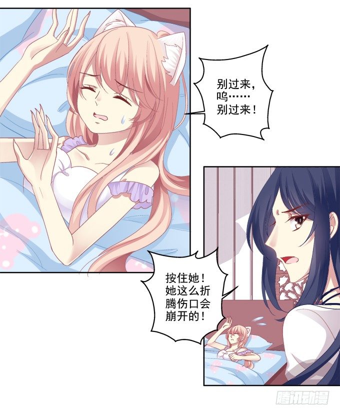 《猫妖的诱惑》漫画最新章节看爸妈生小毛球！免费下拉式在线观看章节第【15】张图片