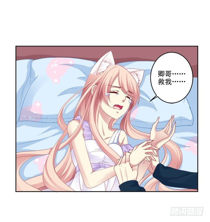 《猫妖的诱惑》漫画最新章节看爸妈生小毛球！免费下拉式在线观看章节第【17】张图片