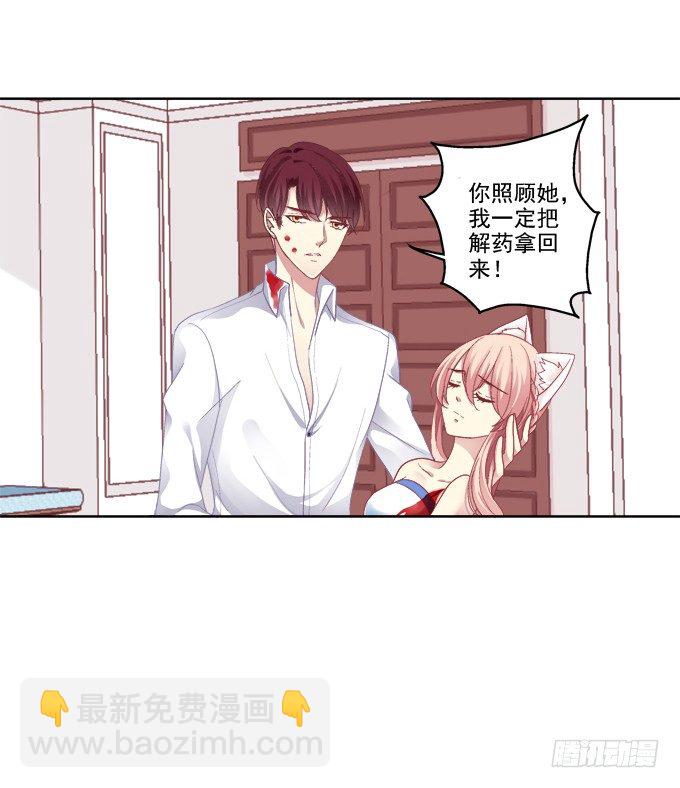 《猫妖的诱惑》漫画最新章节看爸妈生小毛球！免费下拉式在线观看章节第【7】张图片