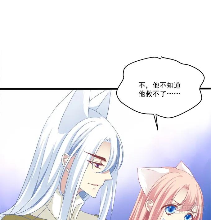 《猫妖的诱惑》漫画最新章节妖王趁火打劫！免费下拉式在线观看章节第【54】张图片