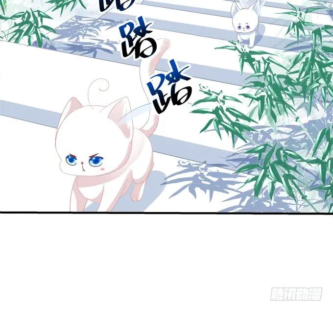 《猫妖的诱惑》漫画最新章节跟你狐哥走！免费下拉式在线观看章节第【54】张图片