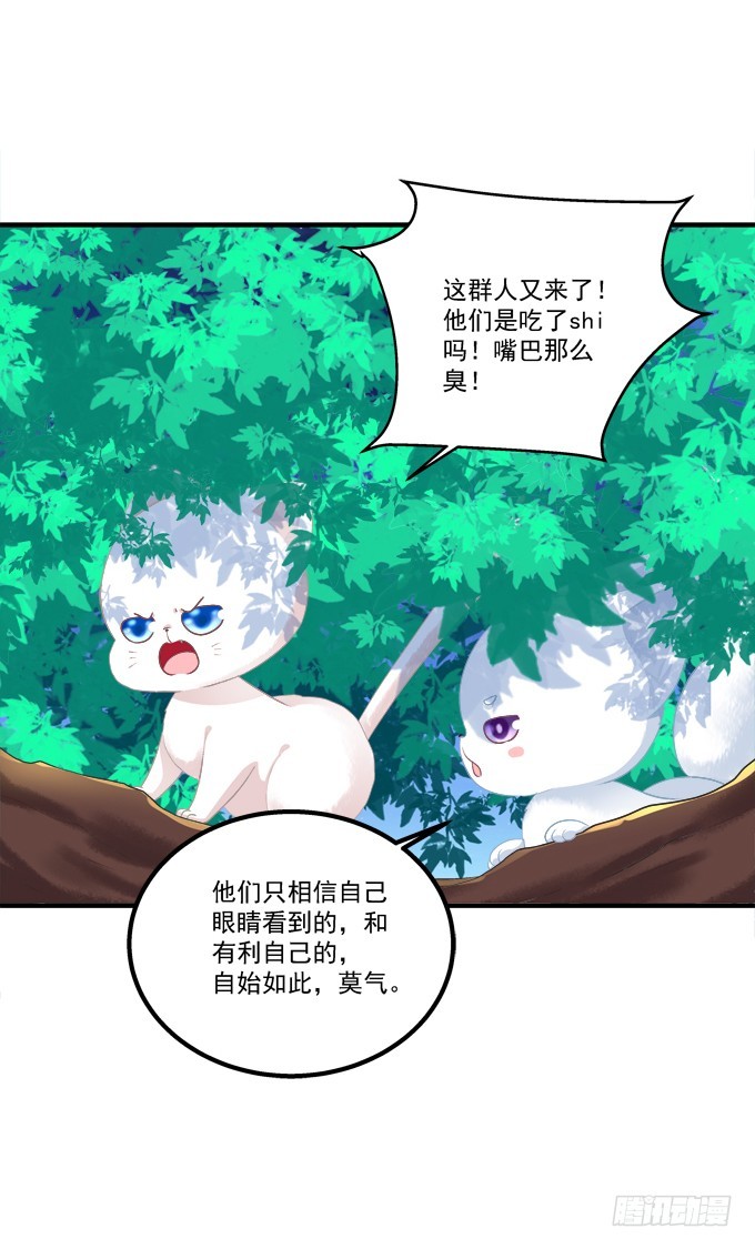 《猫妖的诱惑》漫画最新章节真假沈墨卿！免费下拉式在线观看章节第【16】张图片