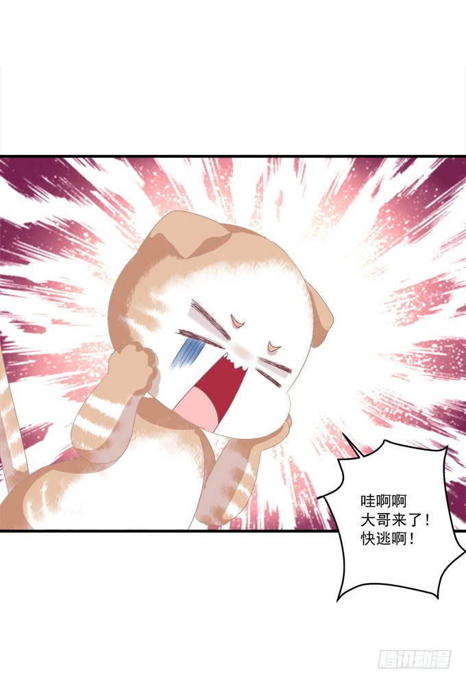 《猫妖的诱惑》漫画最新章节周末喜相逢！免费下拉式在线观看章节第【48】张图片