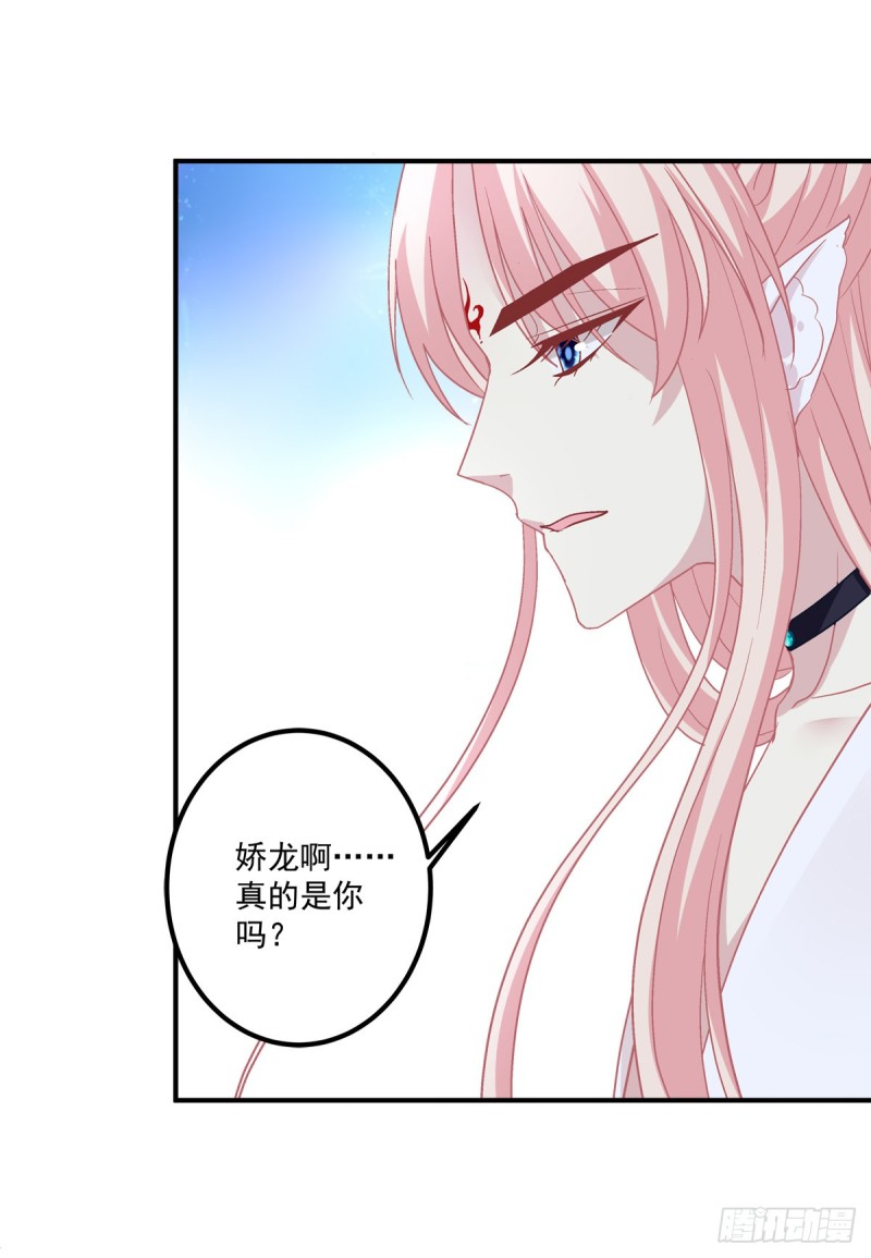 《猫妖的诱惑》漫画最新章节沈墨卿来选美呀！免费下拉式在线观看章节第【32】张图片