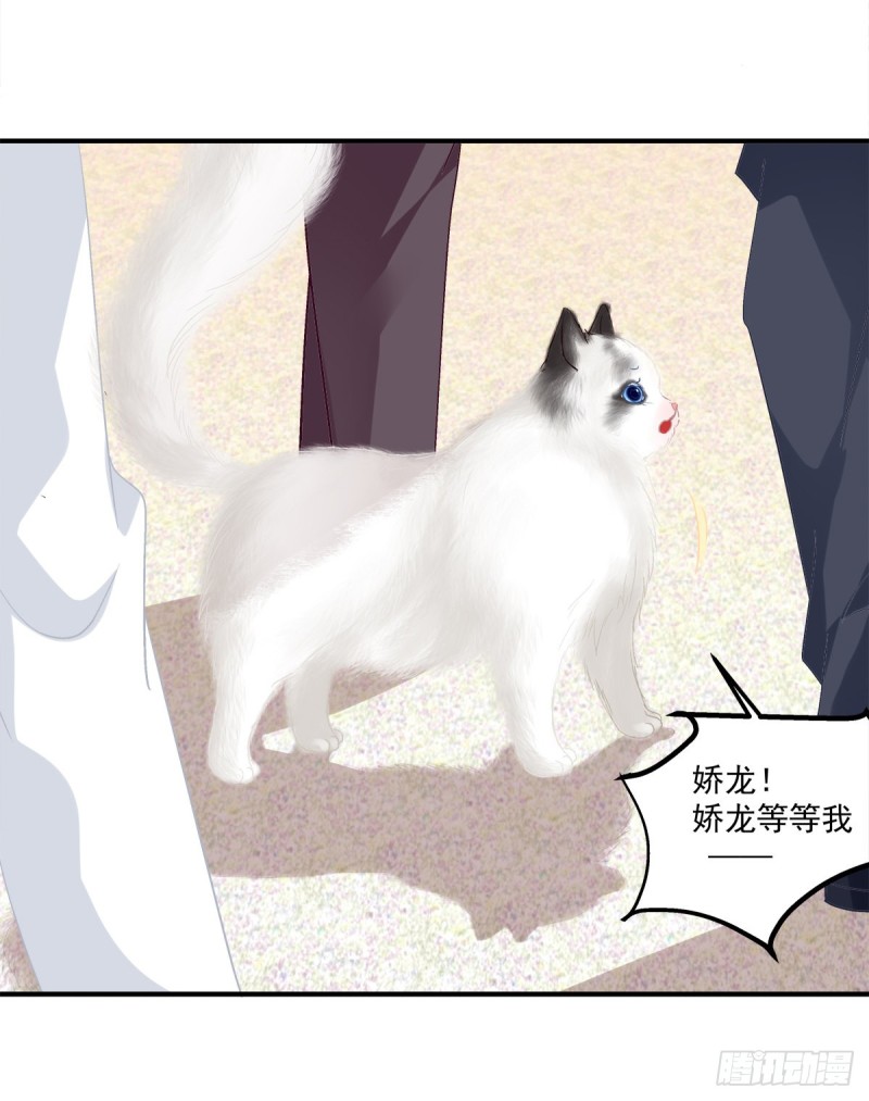 《猫妖的诱惑》漫画最新章节沈墨卿来选美呀！免费下拉式在线观看章节第【4】张图片