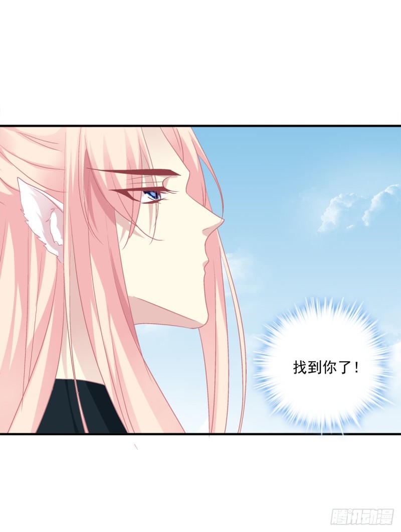 《猫妖的诱惑》漫画最新章节沈墨卿来选美呀！免费下拉式在线观看章节第【48】张图片