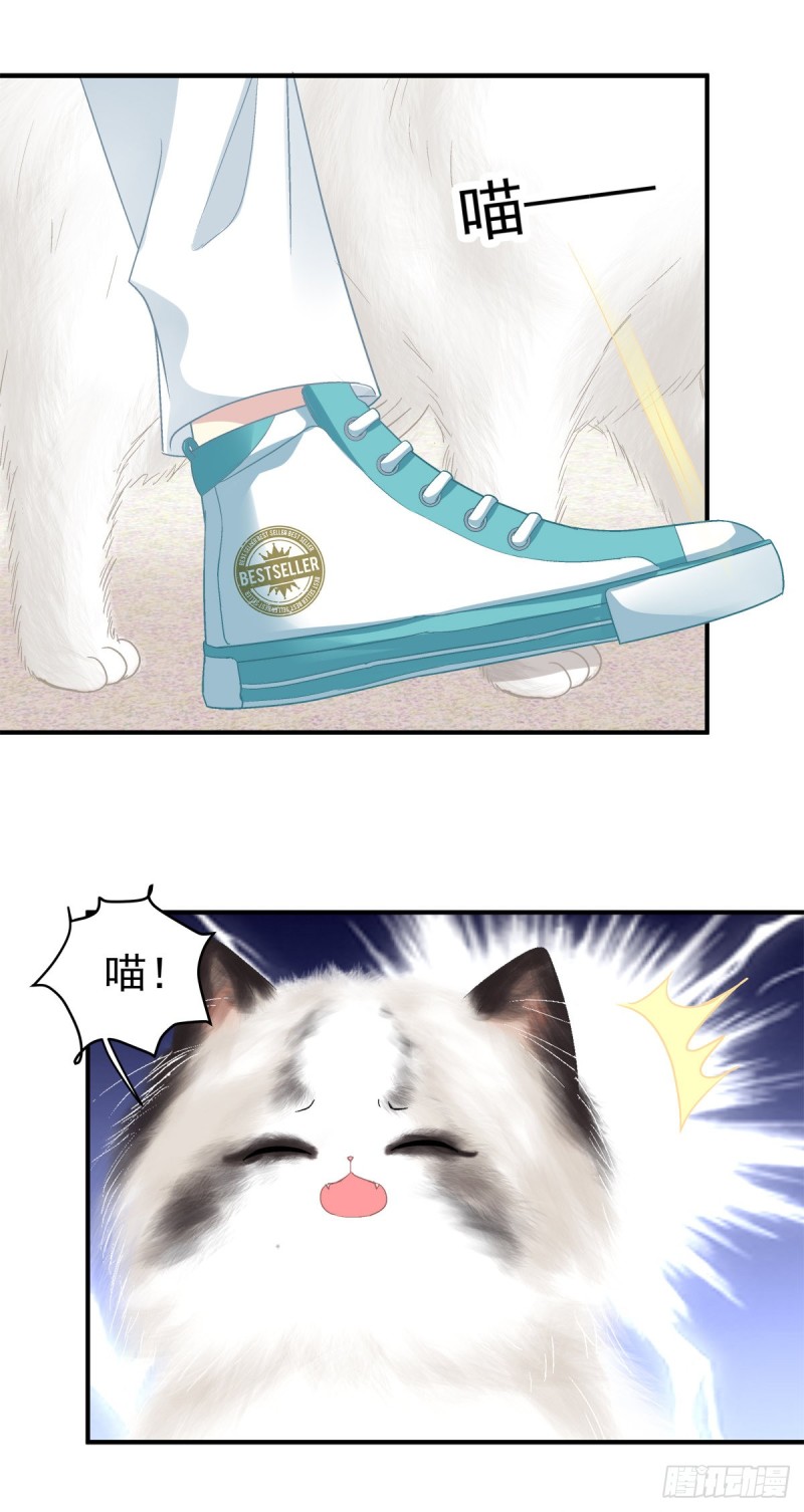 《猫妖的诱惑》漫画最新章节沈墨卿来选美呀！免费下拉式在线观看章节第【5】张图片