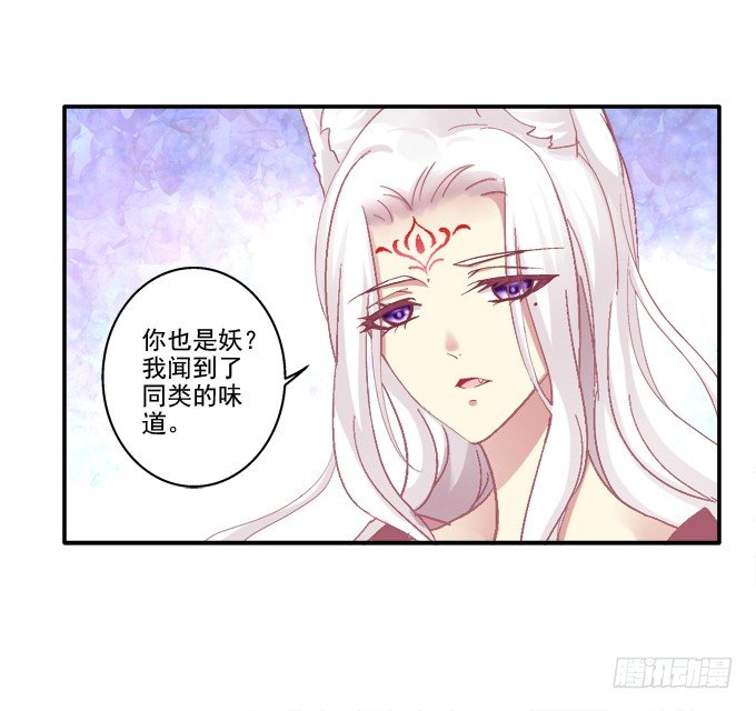 《猫妖的诱惑》漫画最新章节求你救救它免费下拉式在线观看章节第【3】张图片