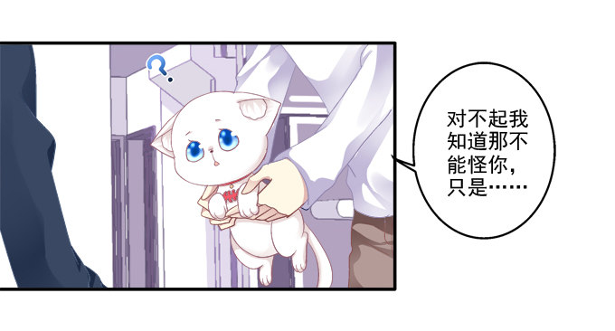 《猫妖的诱惑》漫画最新章节猫妖回魂免费下拉式在线观看章节第【14】张图片