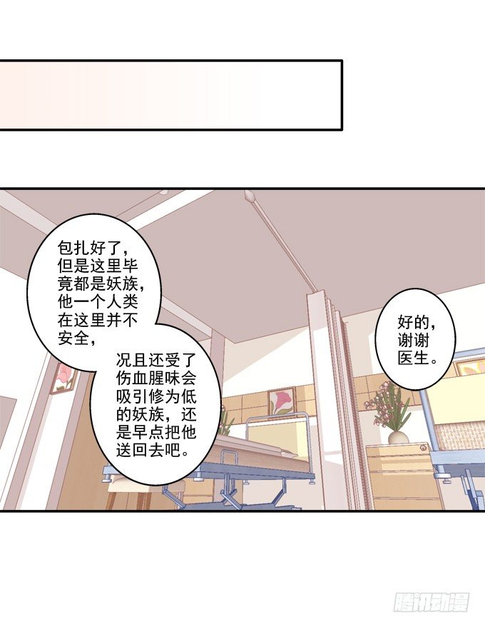 《猫妖的诱惑》漫画最新章节遭遇偷袭免费下拉式在线观看章节第【27】张图片