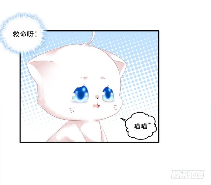 《猫妖的诱惑》漫画最新章节身陷囹圄免费下拉式在线观看章节第【47】张图片