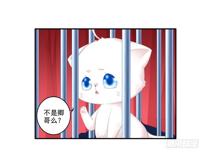 《猫妖的诱惑》漫画最新章节春心萌动免费下拉式在线观看章节第【10】张图片