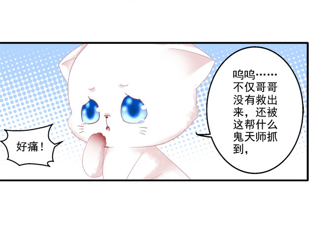 《猫妖的诱惑》漫画最新章节春心萌动免费下拉式在线观看章节第【12】张图片