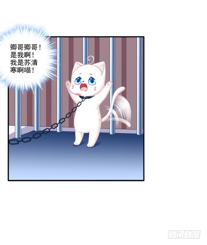 《猫妖的诱惑》漫画最新章节英雄救喵免费下拉式在线观看章节第【18】张图片