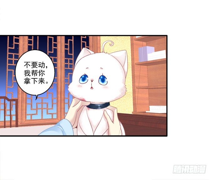 《猫妖的诱惑》漫画最新章节卿卿我我免费下拉式在线观看章节第【12】张图片