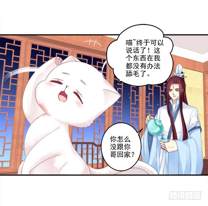 《猫妖的诱惑》漫画最新章节卿卿我我免费下拉式在线观看章节第【14】张图片