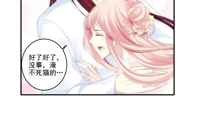 《猫妖的诱惑》漫画最新章节是谁撩谁免费下拉式在线观看章节第【14】张图片