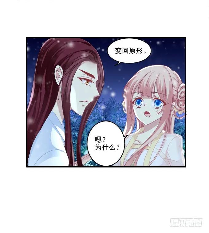 《猫妖的诱惑》漫画最新章节是谁撩谁免费下拉式在线观看章节第【31】张图片