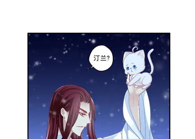 《猫妖的诱惑》漫画最新章节是谁撩谁免费下拉式在线观看章节第【38】张图片