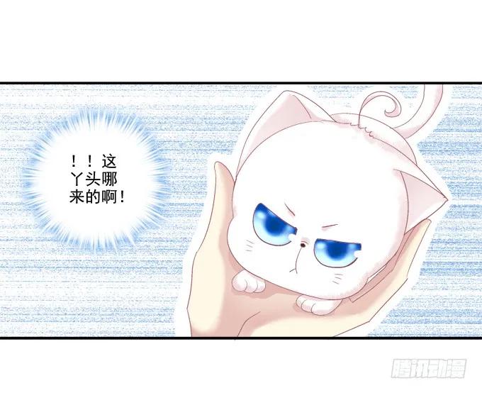 《猫妖的诱惑》漫画最新章节是谁撩谁免费下拉式在线观看章节第【40】张图片