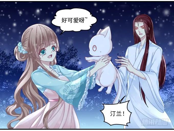 《猫妖的诱惑》漫画最新章节是谁撩谁免费下拉式在线观看章节第【43】张图片