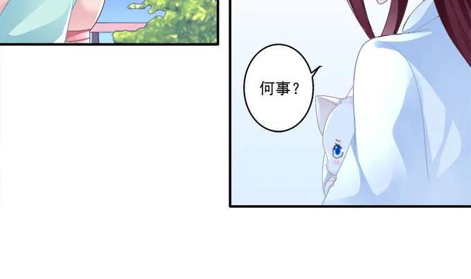 《猫妖的诱惑》漫画最新章节盛装出席免费下拉式在线观看章节第【18】张图片