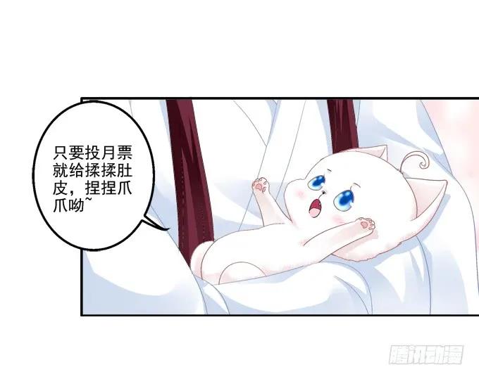 《猫妖的诱惑》漫画最新章节盛装出席免费下拉式在线观看章节第【59】张图片