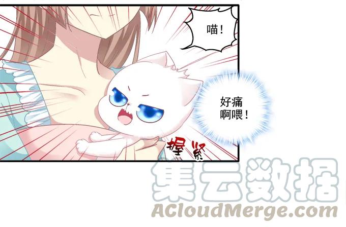 《猫妖的诱惑》漫画最新章节盛装出席免费下拉式在线观看章节第【9】张图片