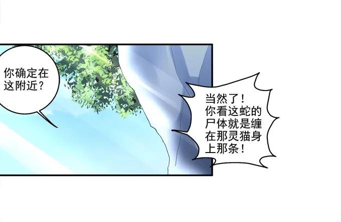 《猫妖的诱惑》漫画最新章节暗箭伤人免费下拉式在线观看章节第【42】张图片