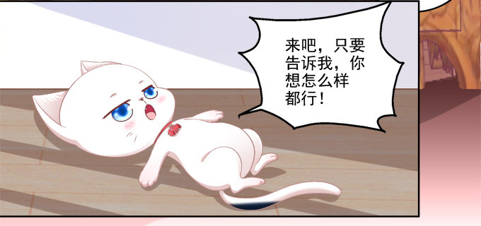 《猫妖的诱惑》漫画最新章节走开，不要摸我！免费下拉式在线观看章节第【28】张图片