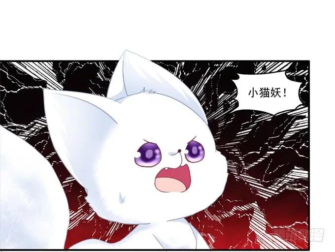 《猫妖的诱惑》漫画最新章节英狐救喵？免费下拉式在线观看章节第【40】张图片