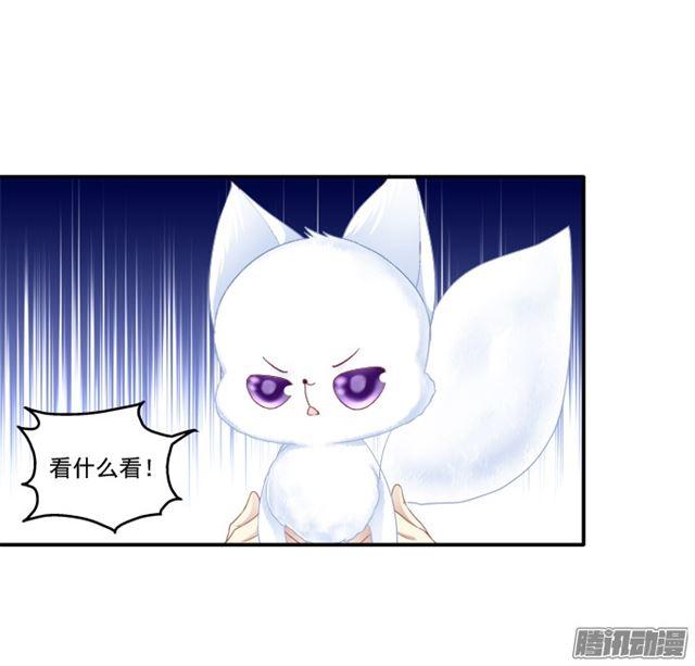 《猫妖的诱惑》漫画最新章节争风吃醋免费下拉式在线观看章节第【20】张图片