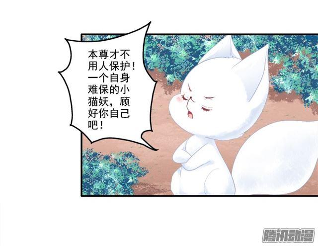 《猫妖的诱惑》漫画最新章节争风吃醋免费下拉式在线观看章节第【29】张图片