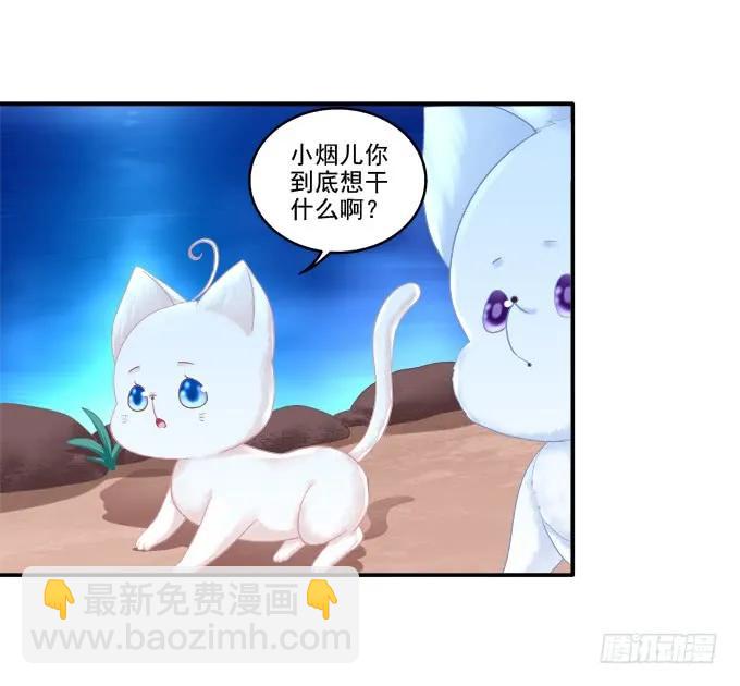 《猫妖的诱惑》漫画最新章节分崩离析免费下拉式在线观看章节第【14】张图片