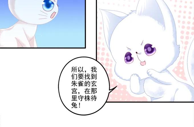 《猫妖的诱惑》漫画最新章节分崩离析免费下拉式在线观看章节第【20】张图片