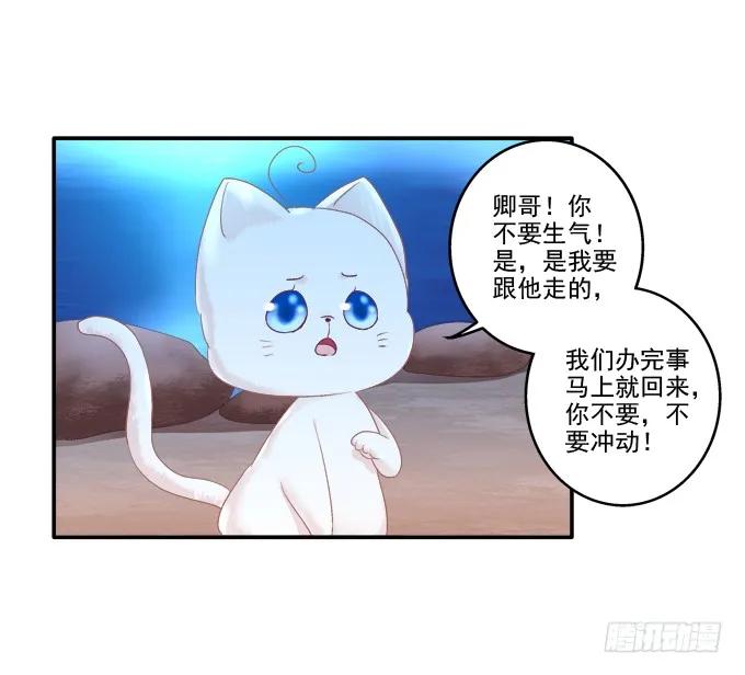 《猫妖的诱惑》漫画最新章节分崩离析免费下拉式在线观看章节第【35】张图片